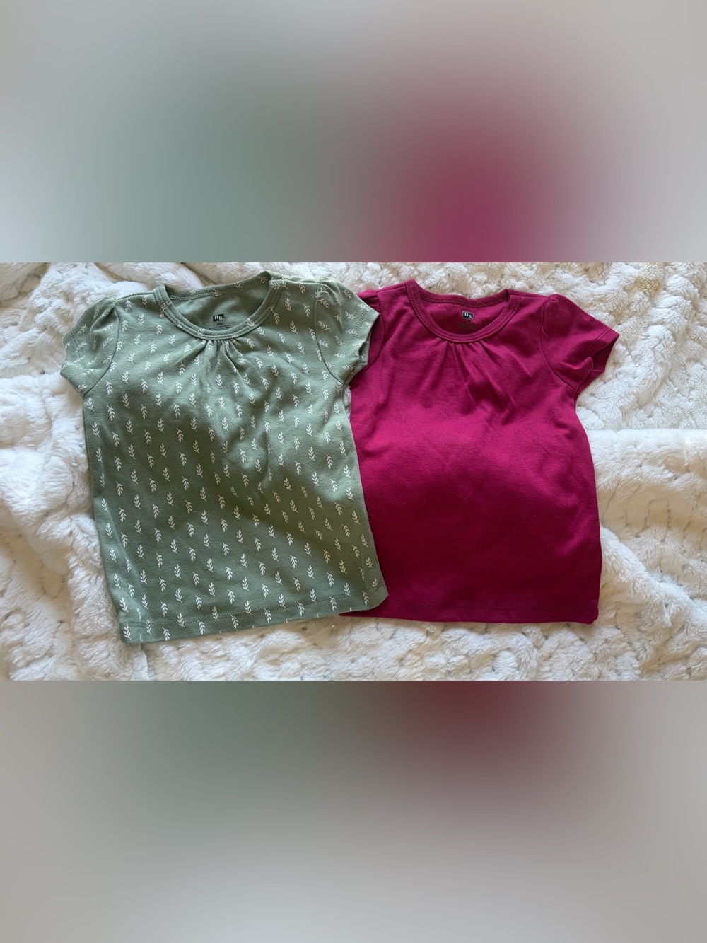 🍂 Honest Baby Girls 24M — 2 Top Bundle